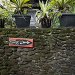 Suntari Homestay