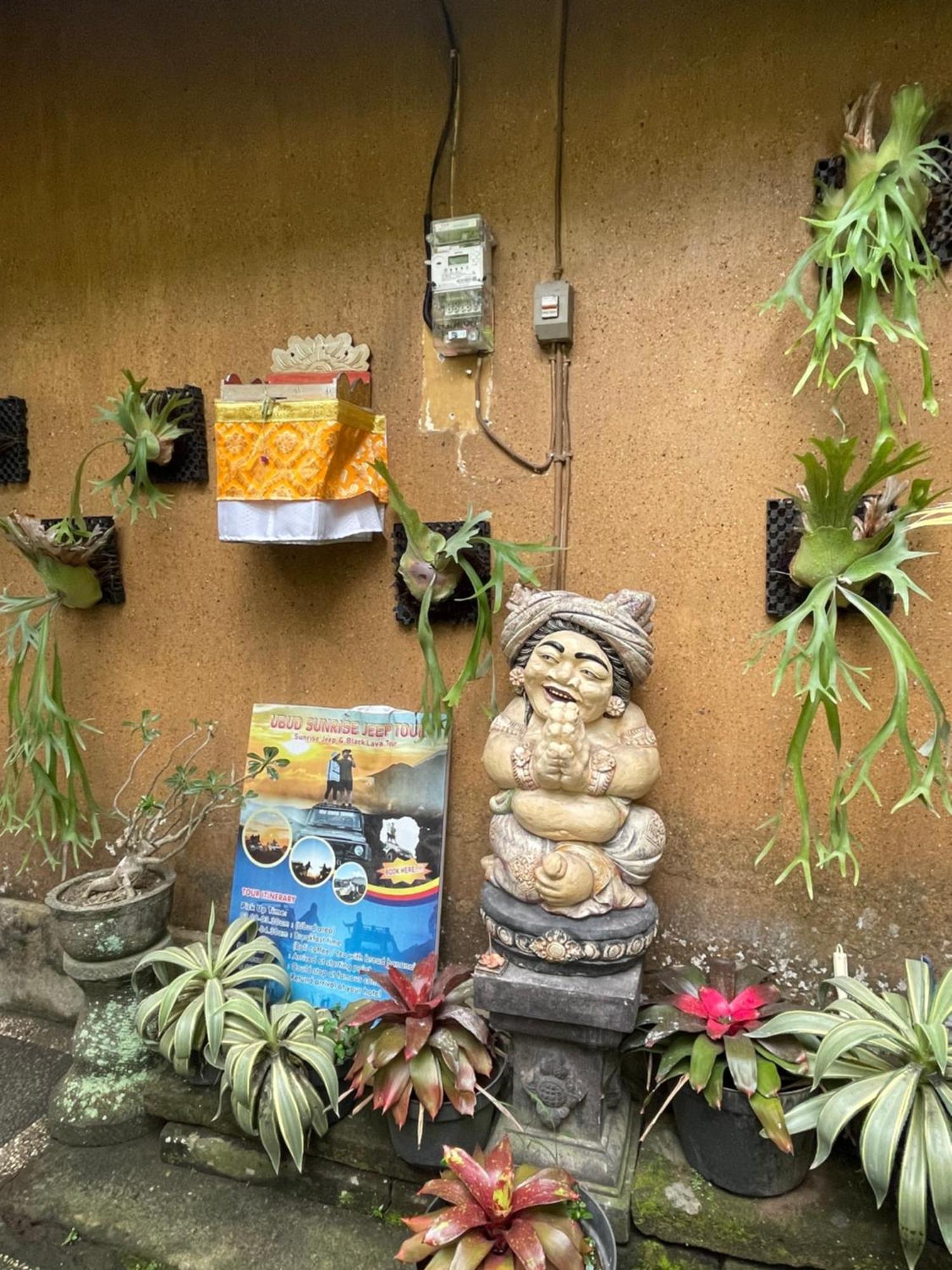 Suntari Séjour chez l'habitant *